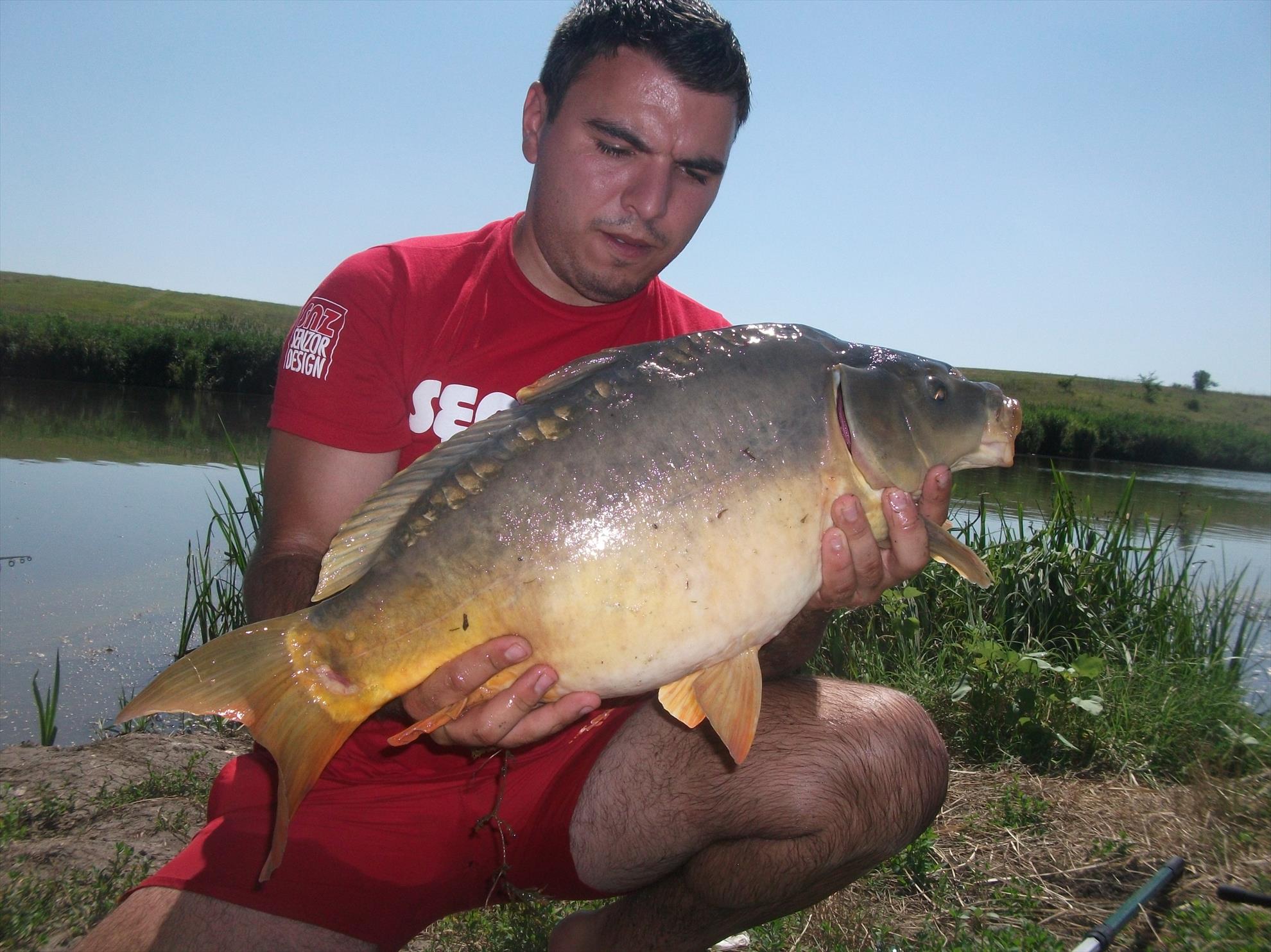 Walter 25-26.07.2013 - dscf0729.jpg